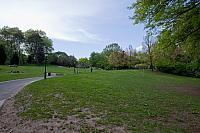 IMG 3941