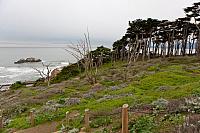 IMG 6510