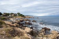 IMG 6512