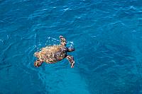 IMG 6822