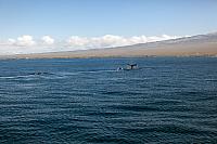 IMG 6870
